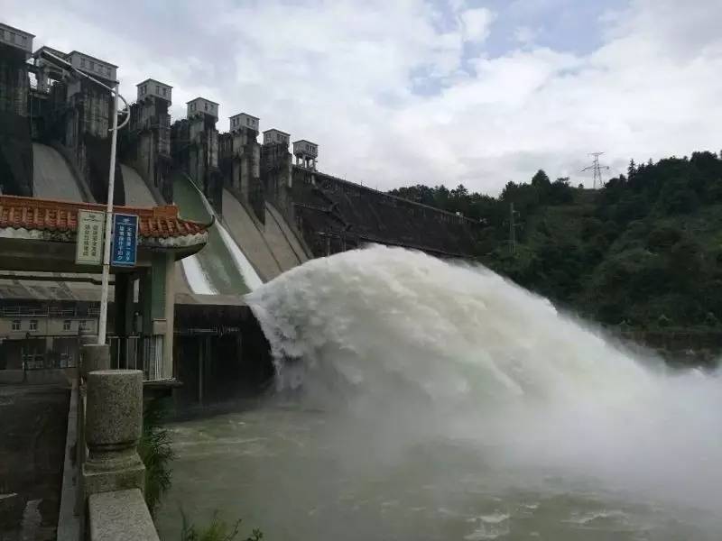 雨一直下,龙川枫树坝水库开闸!今年首次,为期2天!