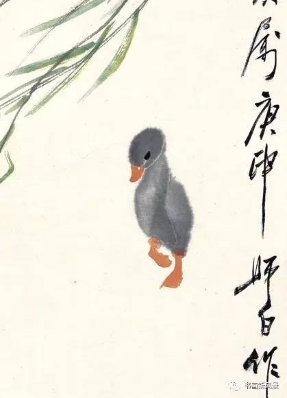 宠物 正文画小鸭是娄师白的拿手绝活,他笔下的小鸭子,是活灵活现的小