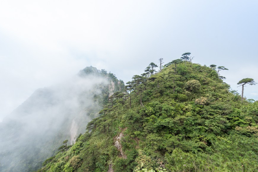 瑜伽上山,三清山1500米高山上练瑜伽考验观众体力