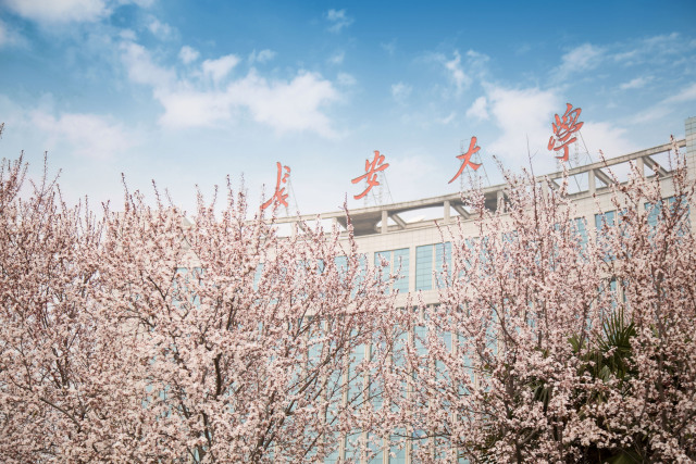 刚刚,长安大学权威发布实力水平!