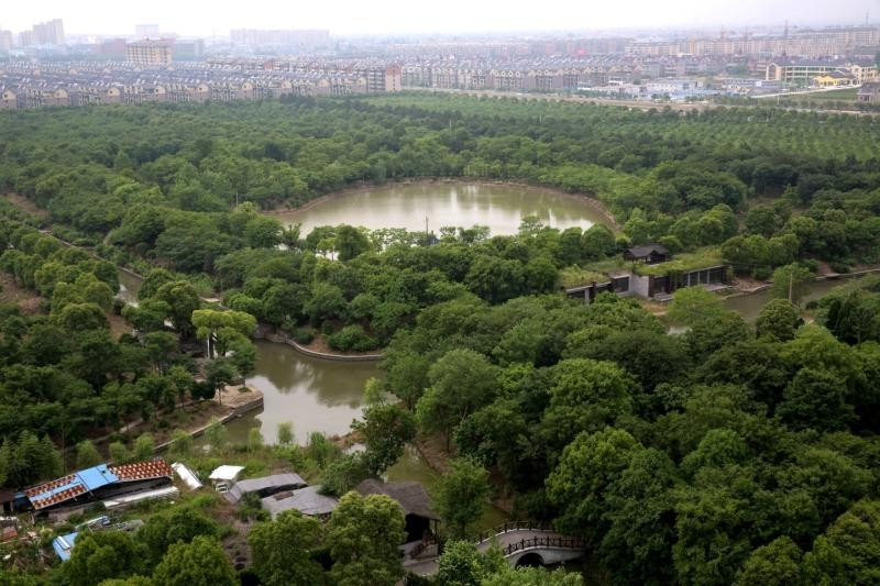 【神龙湾生态园】