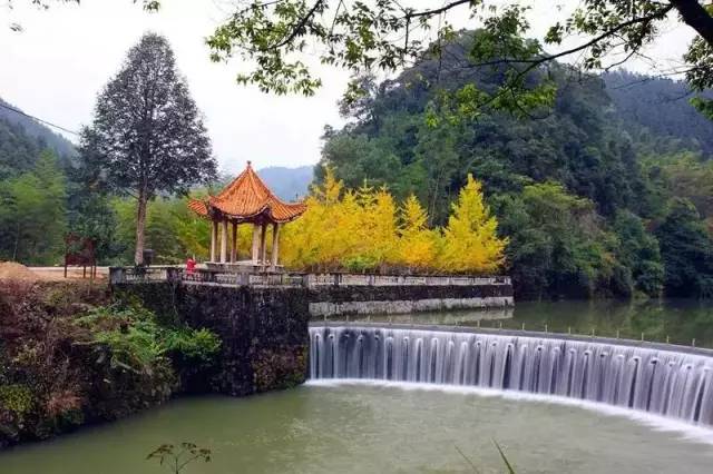 在南雄,有个国家aaa级旅游景区,叫帽子峰森林公园.