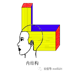 发型的立体构成要素线条角度形体结构