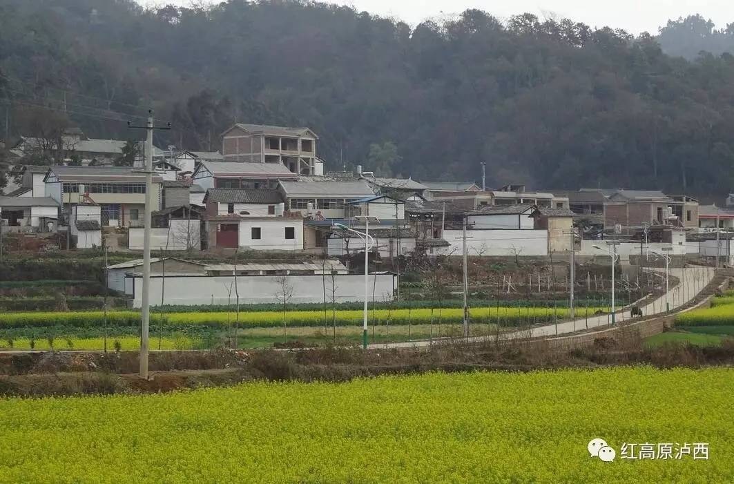 【砥砺奋进的五年】泸西大栗树村:山村劲吹文明风