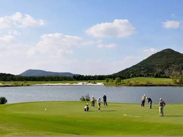 海宁西郊,一处占地2600余亩,投资2亿元的森城行道树精品园——神龙湾