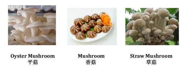 那就边吃边来学学英语吧 名称 小菇代金针菇 enoki mushroom enoki