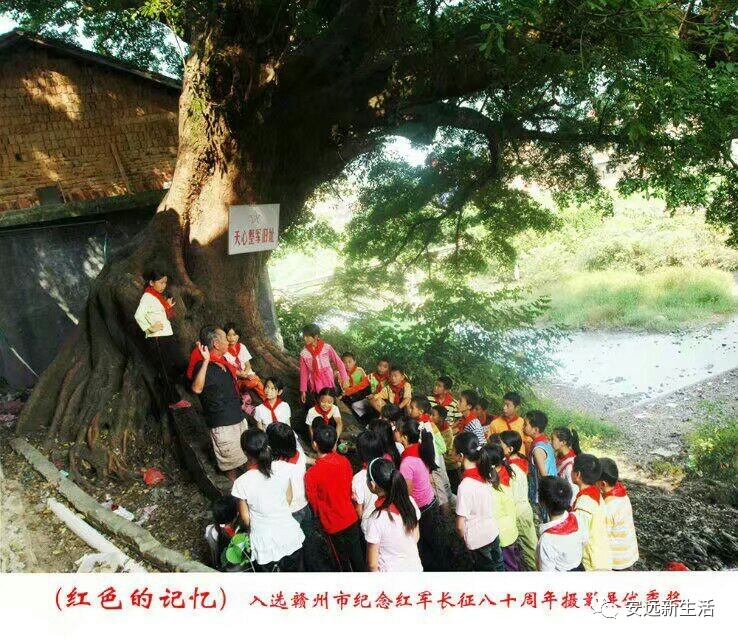 安远风山多少人口_安远镇岗风山景区