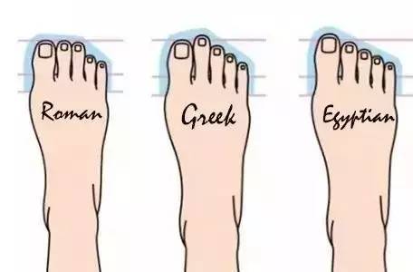 每个人的脚型都会有细微的差别 我们通常观察脚面的宽度和脚趾的长度