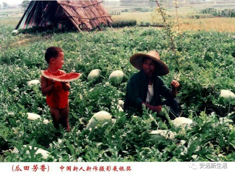 安远风山多少人口_安远镇岗风山景区