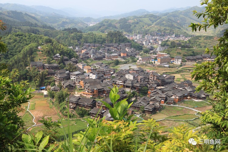 三明忠山村人口_三明忠山村上位规划图