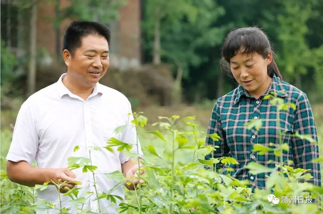 永兴有多少人口有多少_永兴坊有什么好吃的