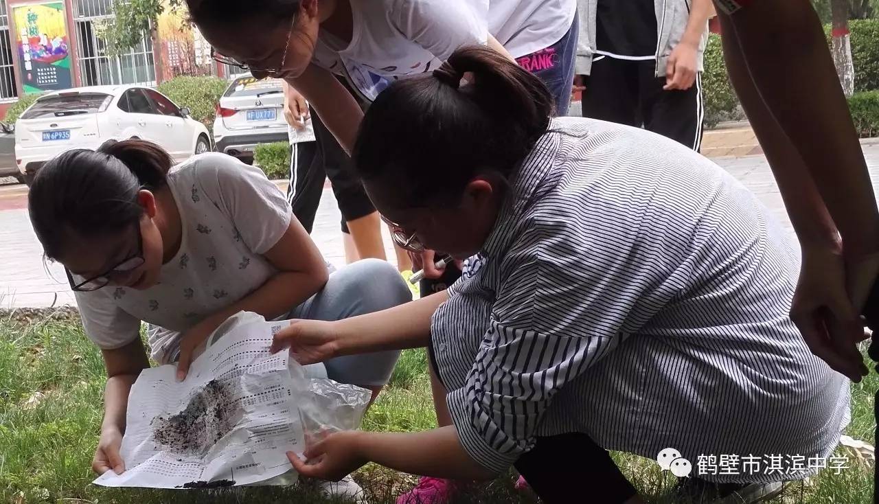 淇滨中学"绿水青山"生物学社系列活动--探究蚯蚓哪一