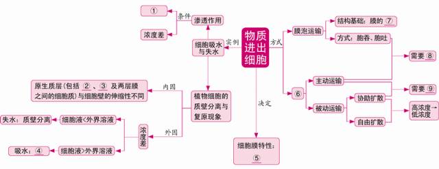 思维导图丨巧用网络图,构建高中生物知识结构!【必修1