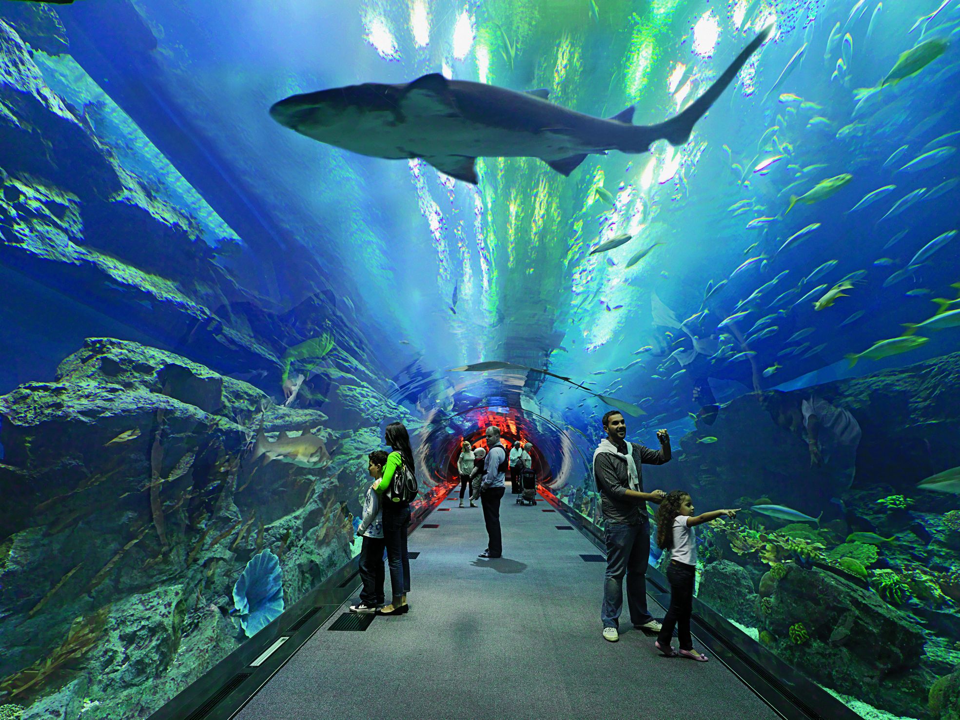 加拿大最大室内水族馆