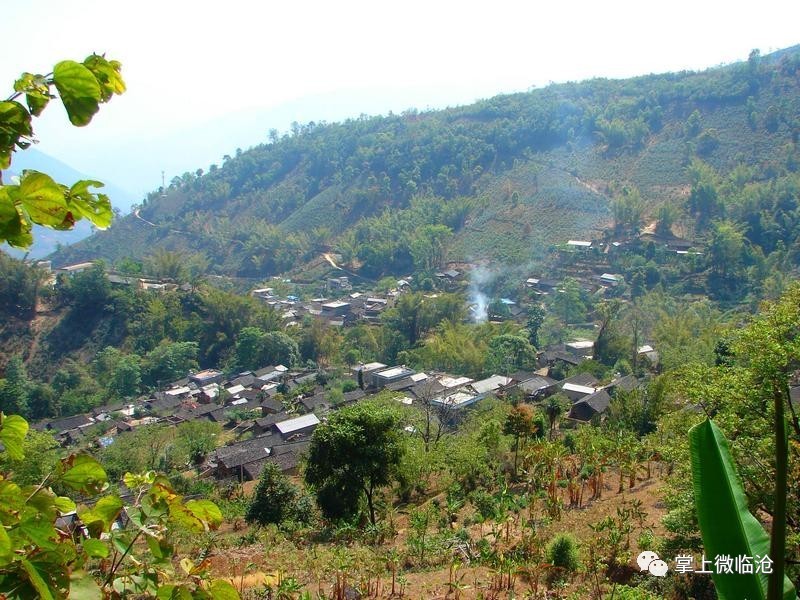 从乡村旅游开发建设,乡村旅游经营管理,乡村旅游宣传营销等方面进行