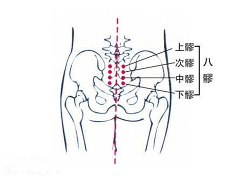 臀疗就是其中一种,声称做臀部保养,就能让人面色红润,更有活力,比同龄