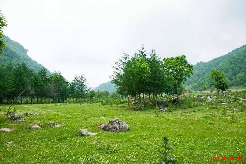 藏在大山深处的绝美牧场,田园人家,牛羊,绿茵草地.