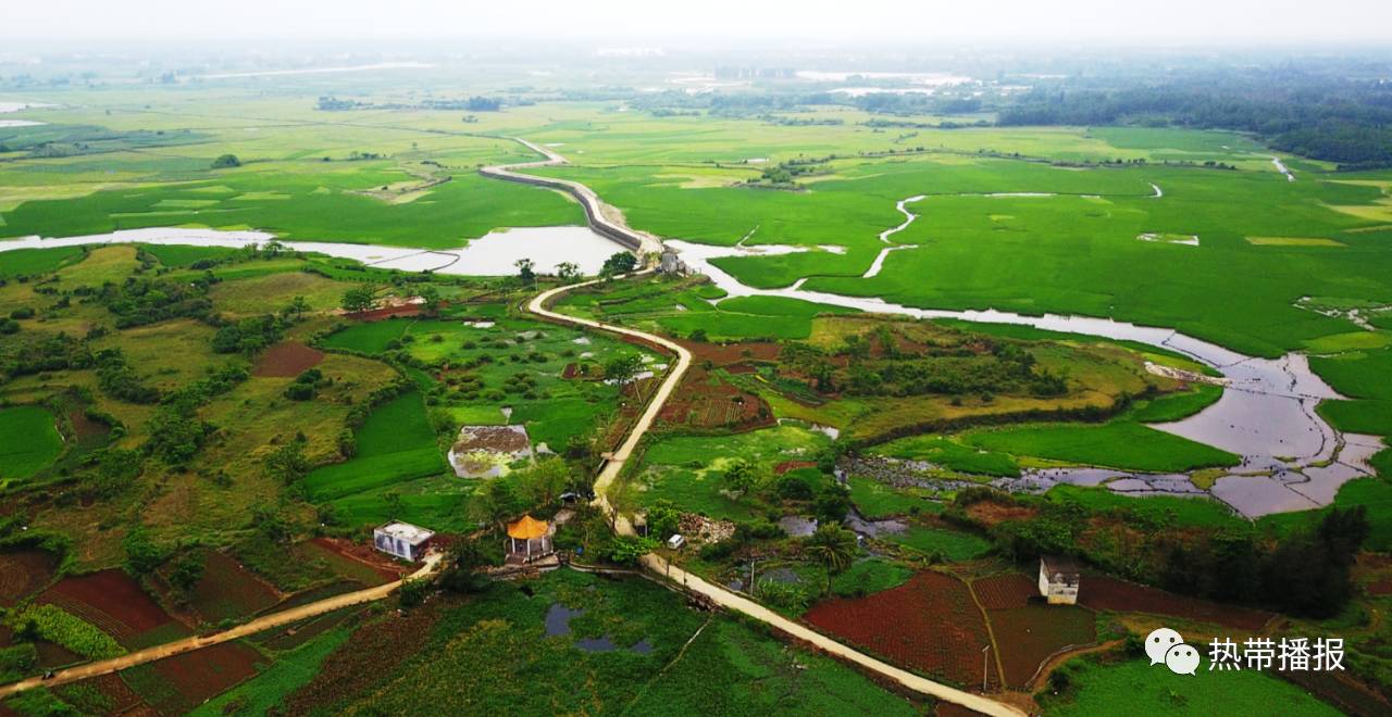 海口湿地全接触(一 遇见羊山湿地 遇见独一无二的美好