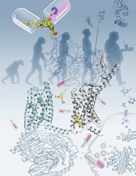 G蛋白偶联受体:生命科学和药物研发的“宝藏”
