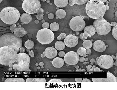 粉体界的骨科医生:纳米羟基磷灰石