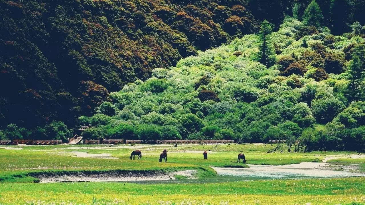 一条河边有一座山猜成语_看图猜成语(3)