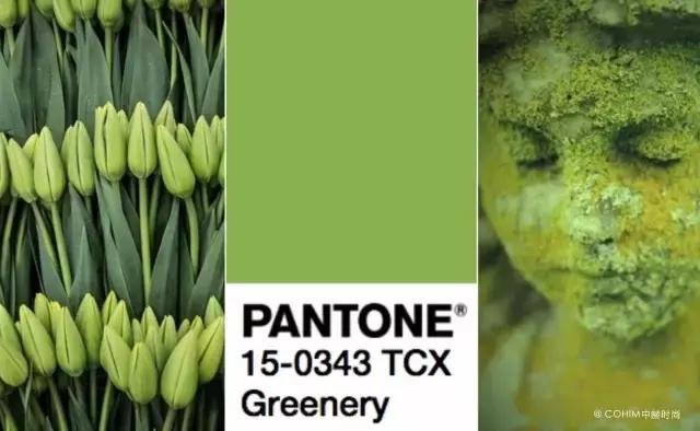 07 草木绿 pantone 15-0343 greenery