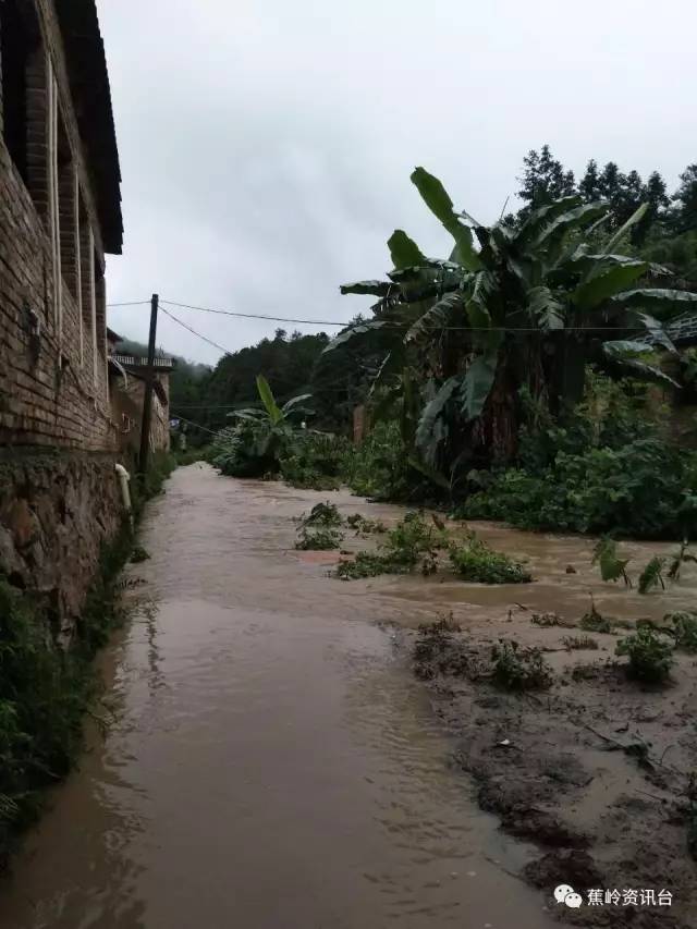 得人畏!蕉岭文福坑头山洪暴发,北礤载田水浸村庄.