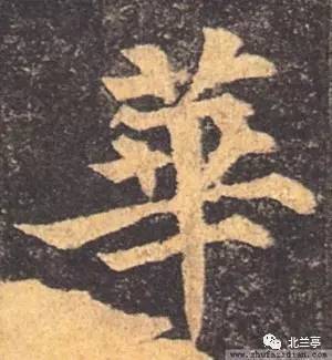 每日一字 华