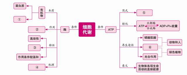 思维导图丨巧用网络图,构建高中生物知识结构!【必修1