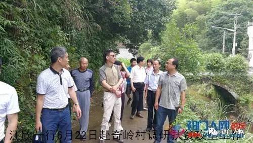 市人大常委会秘书长汪欣(原祁门县政府县长)一行赴溶口乡奇岭村调研