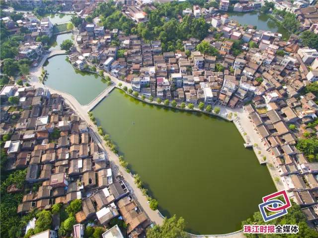 西樵松塘村,倚岗列建,百巷朝塘,自然环境优美.