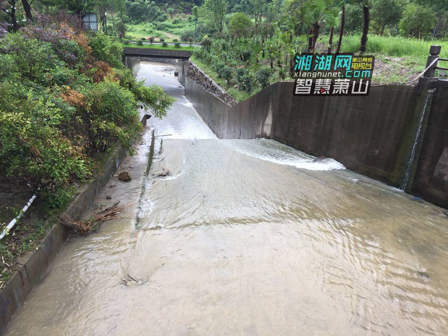 暴雨黄色预警!积水,水库满库,车祸…这场雨到底什么时候停?