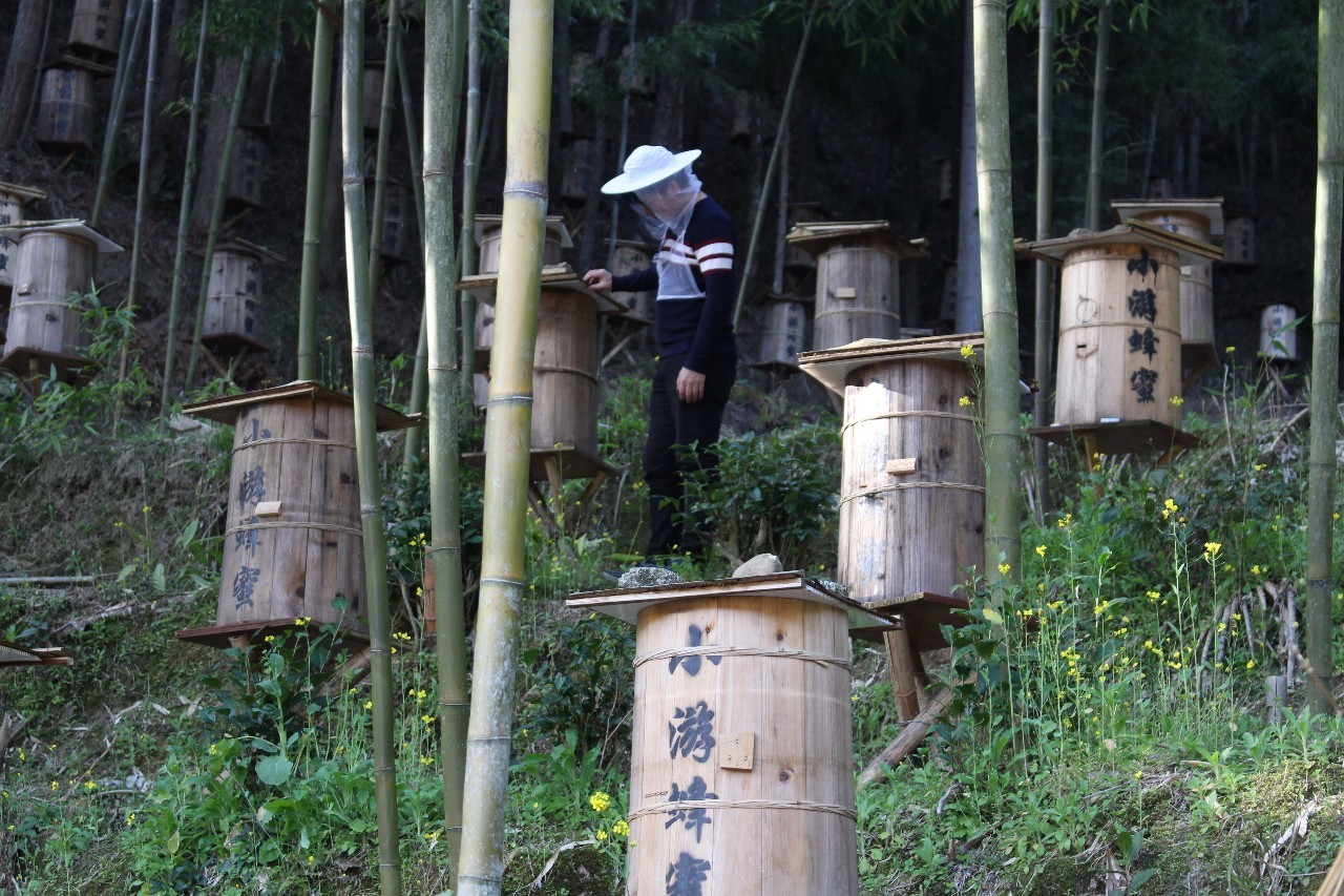 高校计算机试讲教案模板_高校试讲教案模板_高校辅导员试讲教案