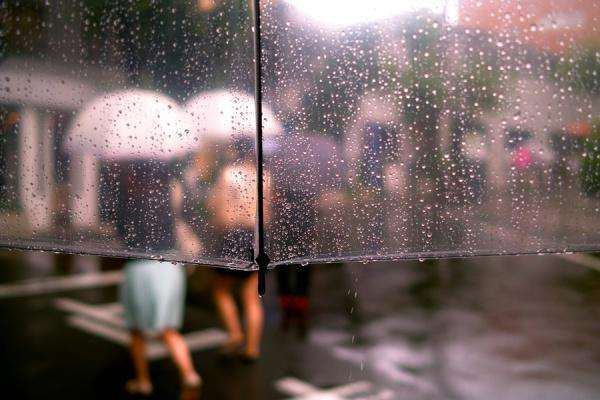 这样的连续下雨,所有的地方都是湿的! 被子是湿的! 袜子是湿的!