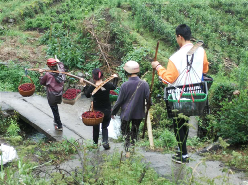 缙云县有多少人口_最新数据!缙云各乡镇(街道)常住人口公布!