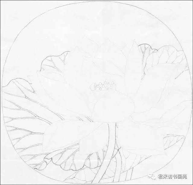 学画临宋画出水芙蓉国画荷花和露珠设色步骤