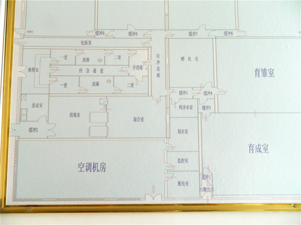 农村养殖场鸡蛋6块钱一个,离走上百姓餐桌有多远