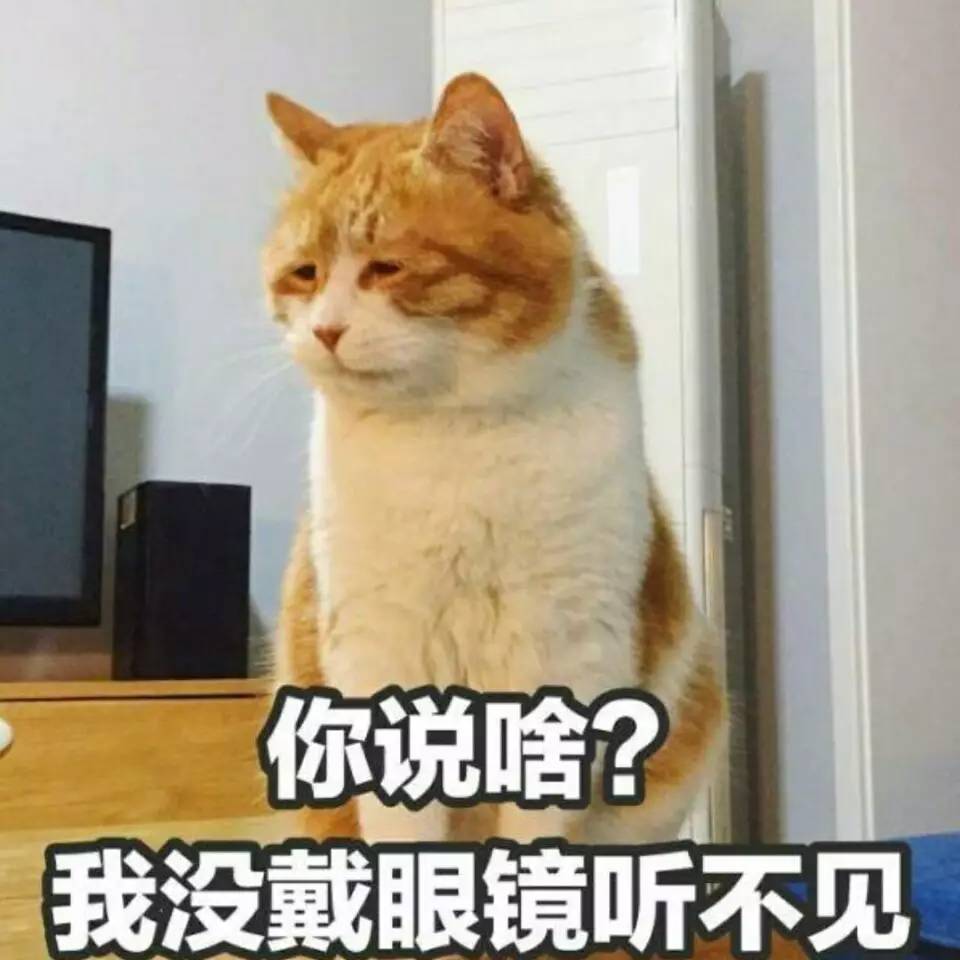 猫和老鼠超污表情包