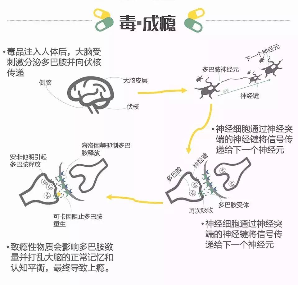 在什么情况下才会产生多巴胺 多巴胺医学