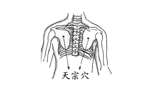 经络丰胸,这十个穴位助你一臂之力