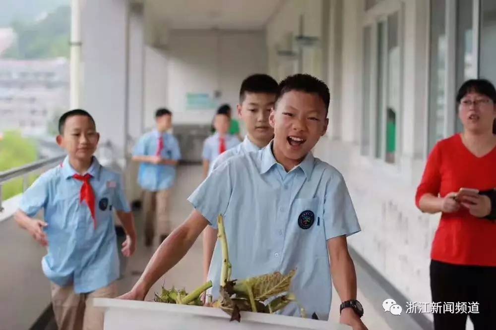 章振乐:去年下半年种萝卜,去年下半年我们种萝卜,一