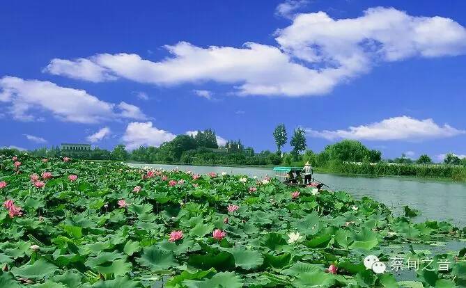 金莲湾位于蔡甸区索河街的长河水域,是全国最出名的莲花水乡,距离武汉