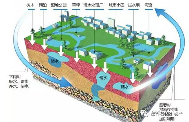 利用规划的生态本底绿化体系以及相互连通的水网,强调发展海绵城市