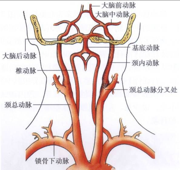 高血压合并交感神经型颈椎病的治疗方法