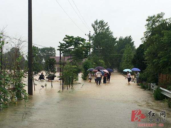 鼎城黄土店镇人口_鼎城一中