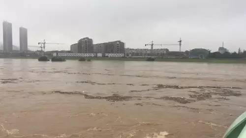 金华之声特别节目,防汛抢险,风雨同行!