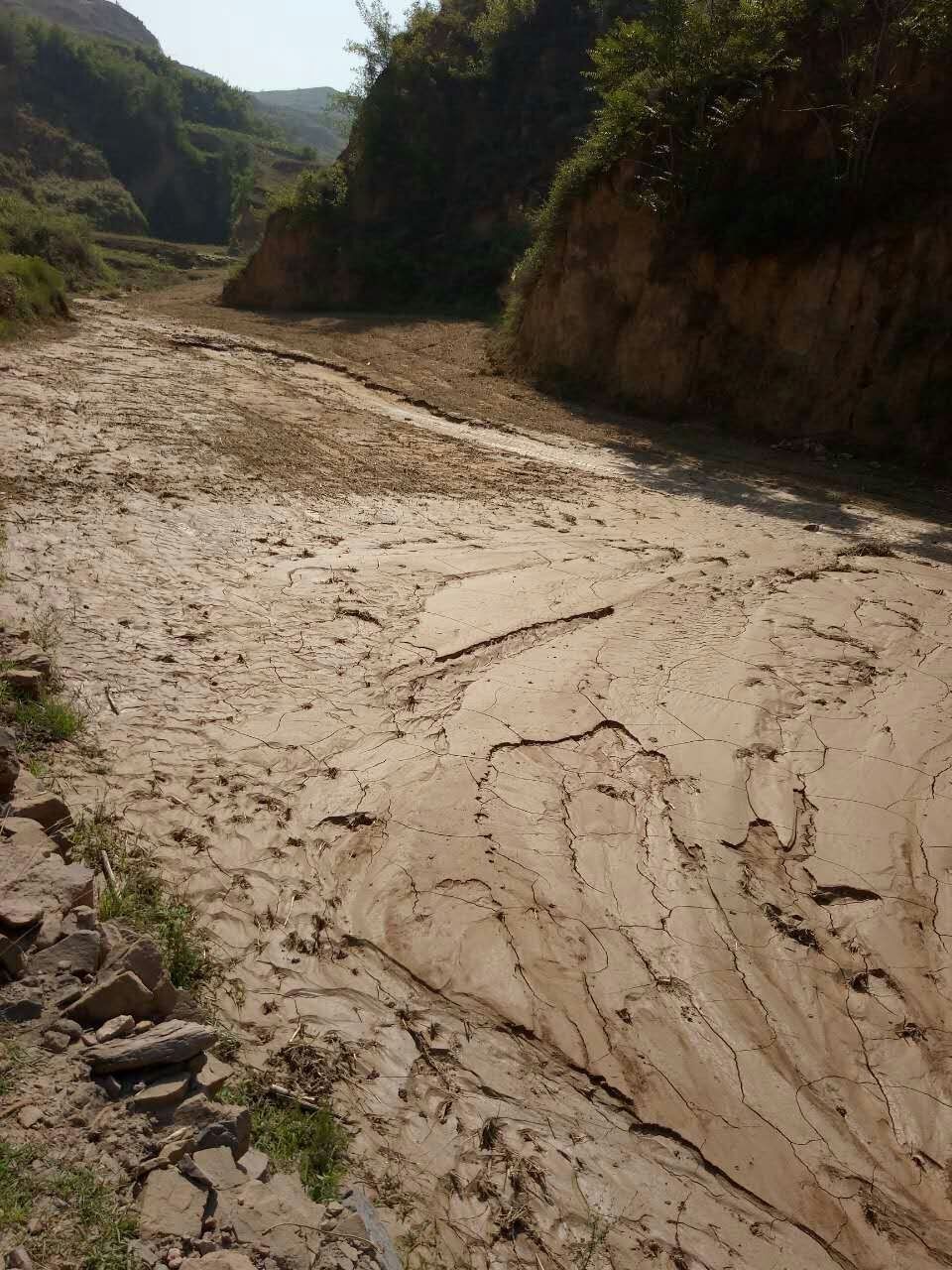 雨龙村的人口_人口普查