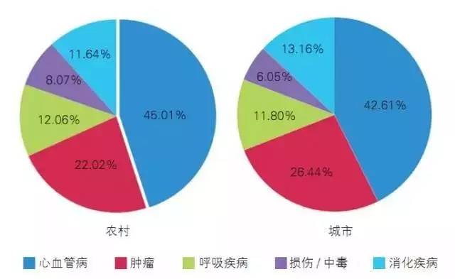 人口老龄化死亡率_人口老龄化(2)