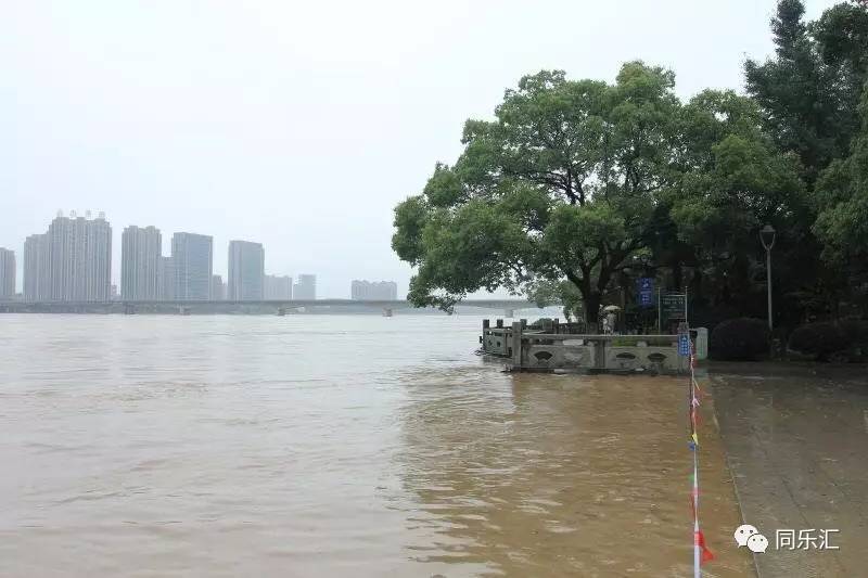 桐庐县城人口_杭州市桐庐县桐君街道春江村(2)