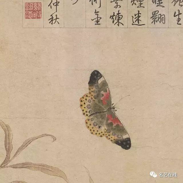 古代画家高清下的蝴蝶,生机灵动,翩翩起舞